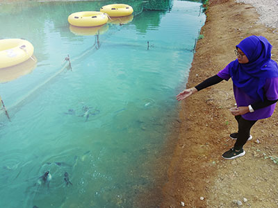 Fish Feeding
